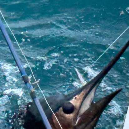 Buenaventura Sport Fishing 2